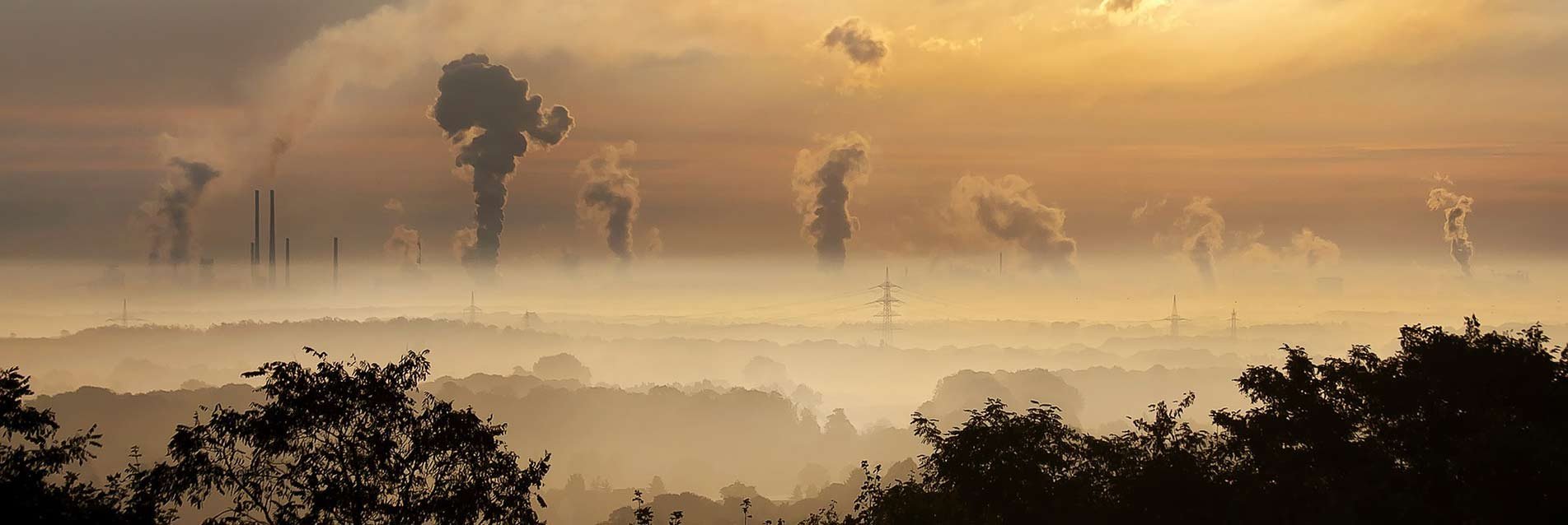 Santé et climat : une relation capitale