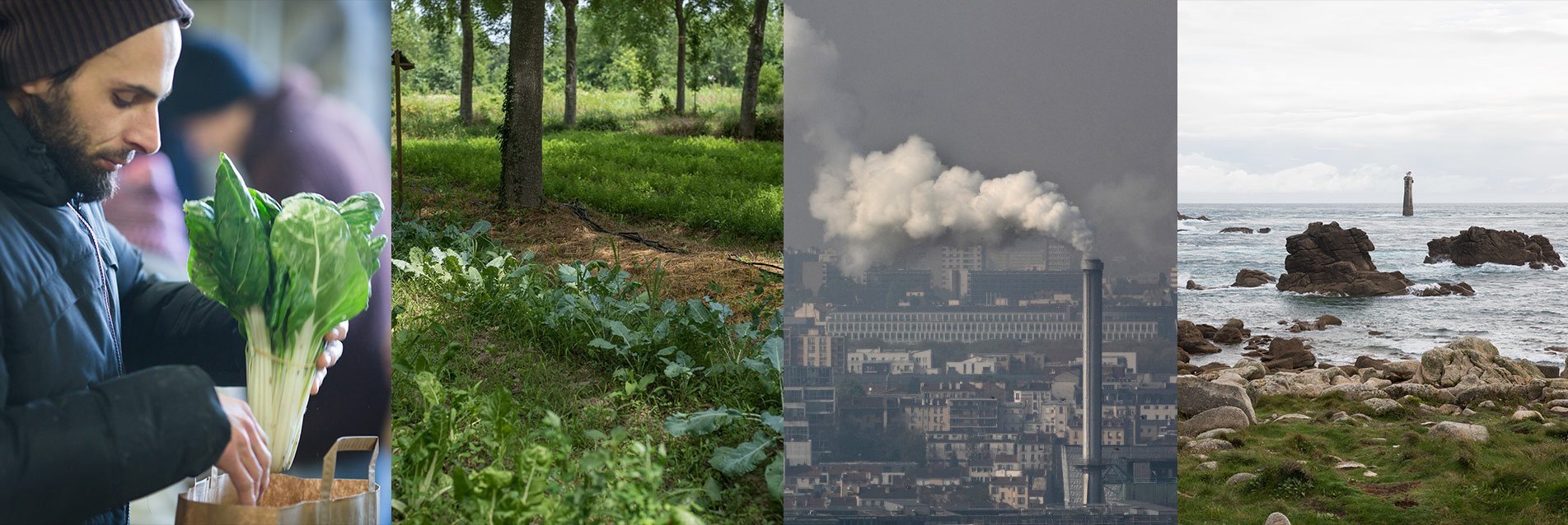 La Fondation de France s’engage pour protéger l’environnement