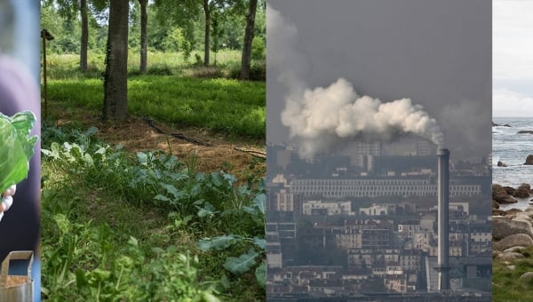 La Fondation de France s’engage pour protéger l’environnement