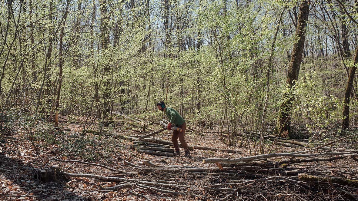 agroforesterie-macon-4-engl