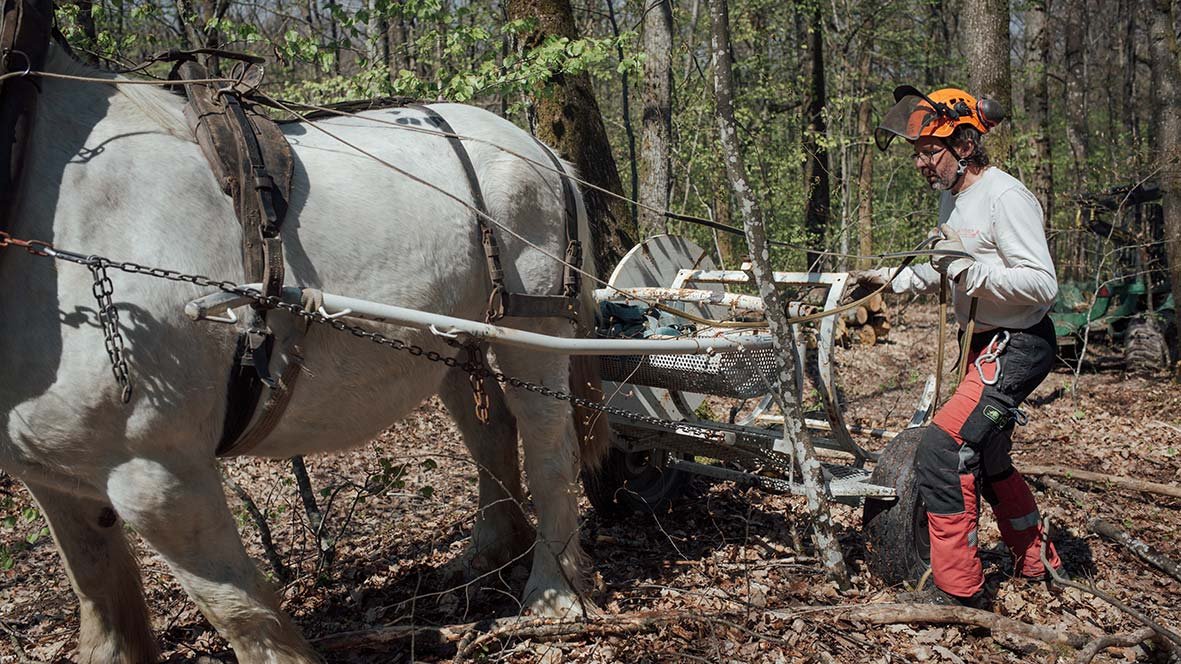 agroforesterie-macon-5