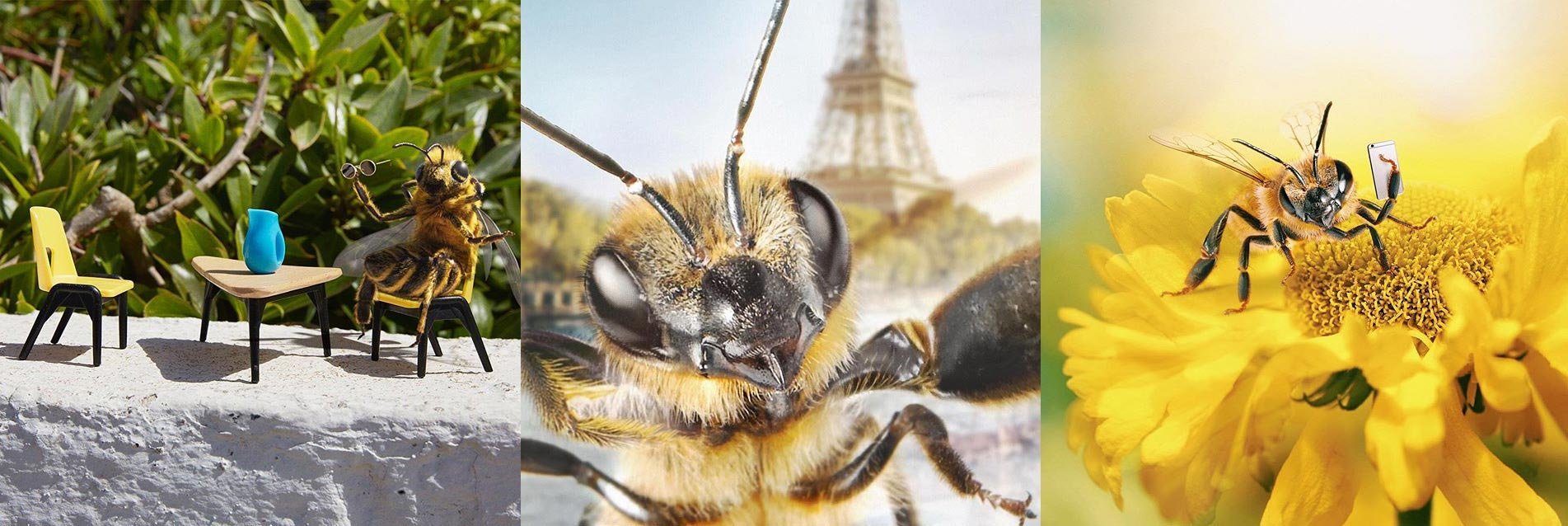 B., l’influenceuse à suivre… pour sauver les abeilles