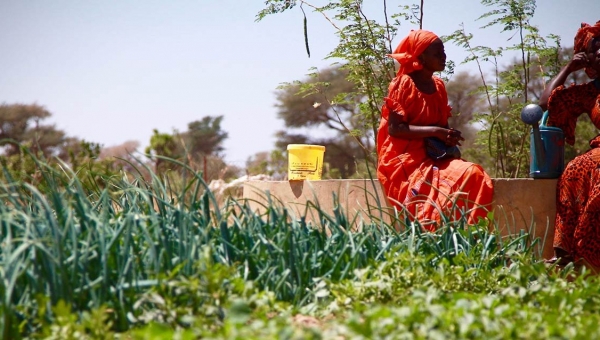 Séminaire international Pafao : retour sur 10 ans d’avancées