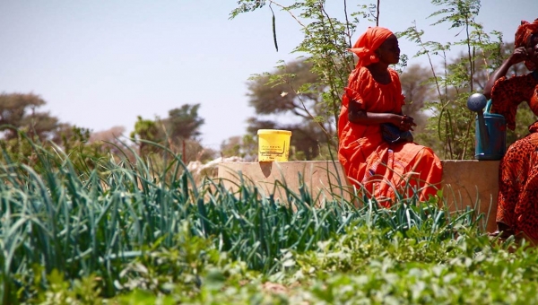 Séminaire international Pafao : retour sur 10 ans d’avancées