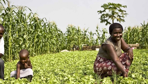 Tribune - L'Afrique et les batailles du « Consommer local »