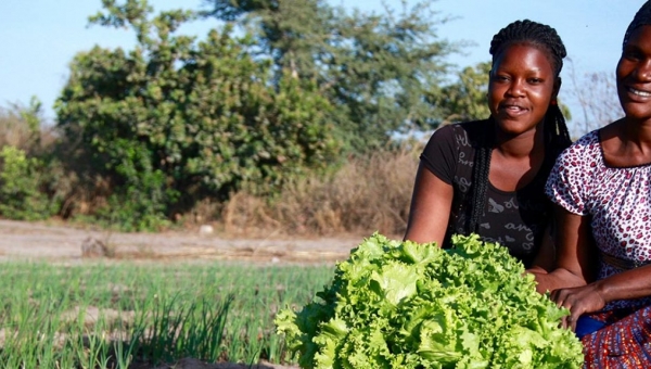 Tribune - Pourquoi l’agriculture africaine doit-elle radicalement changer de modèle ?