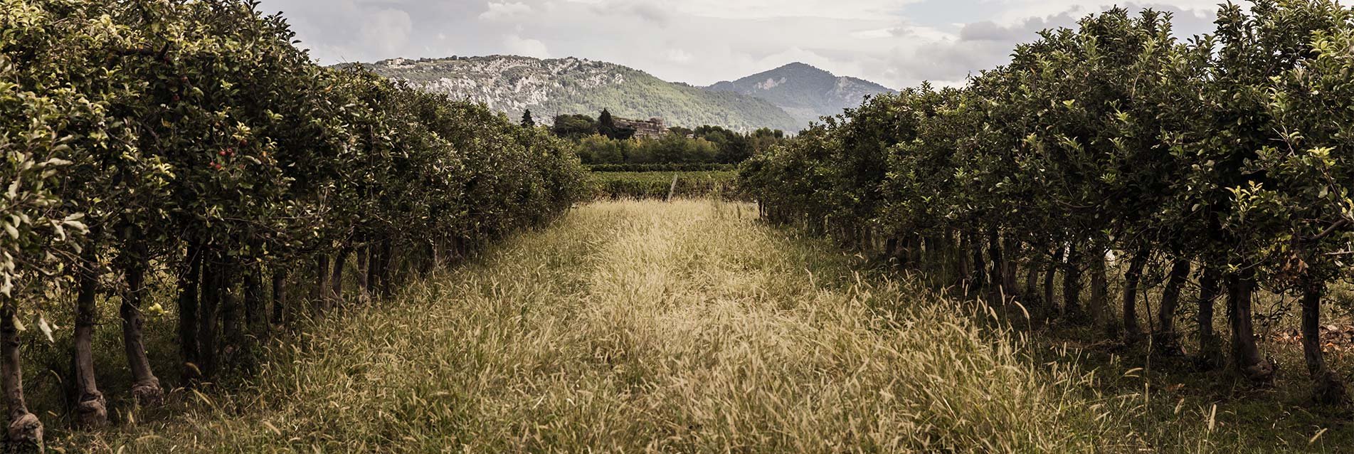 La COP 21, un engagement pour le monde