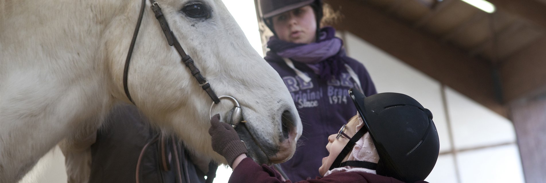 Des séances de médiation équine pour créer des liens