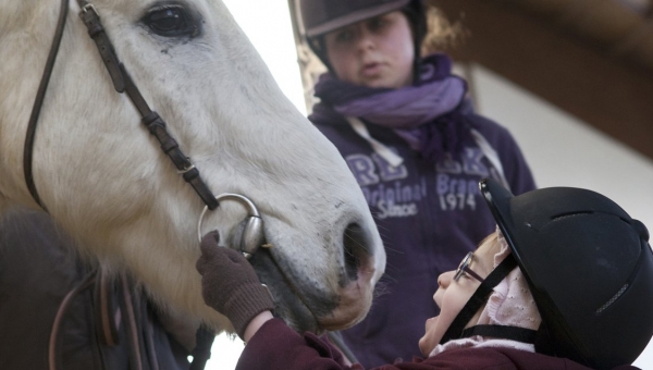 Des séances de médiation équine pour créer des liens