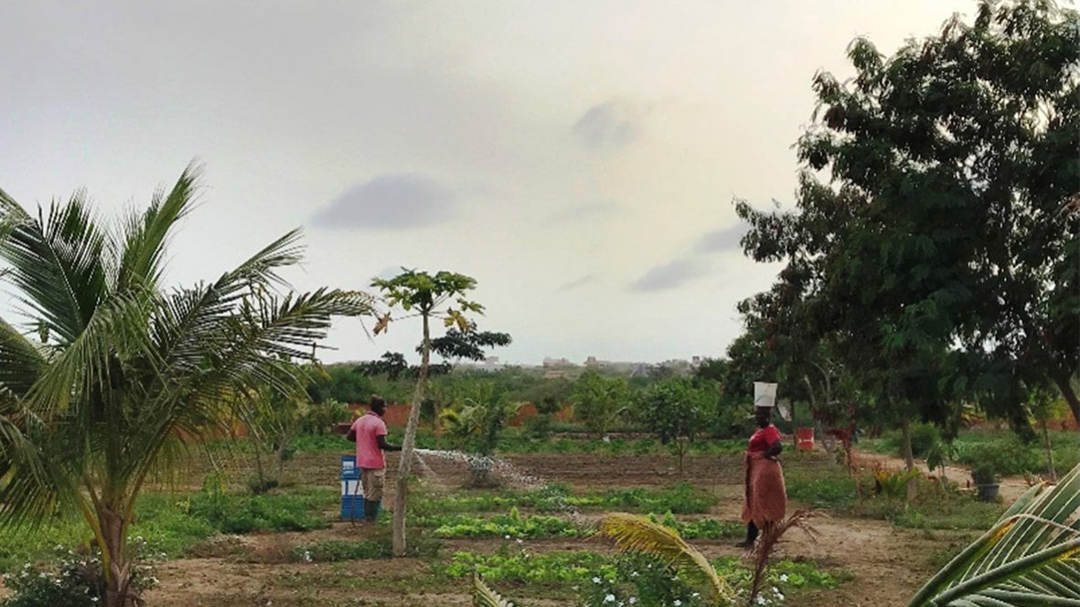 En Afrique les femmes et les jeunes 5