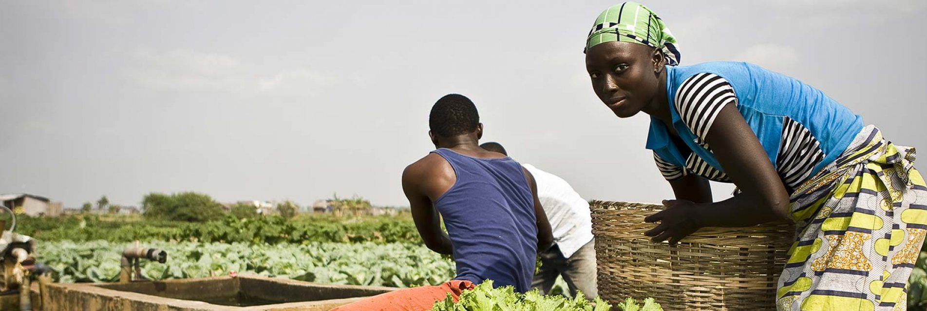 10 ans d’actions au service de l’agriculture familiale en Afrique de l’ouest