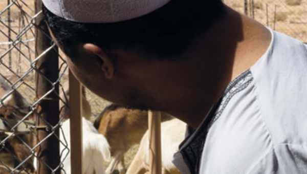 M’zab, la chèvrerie de Ghardaïa