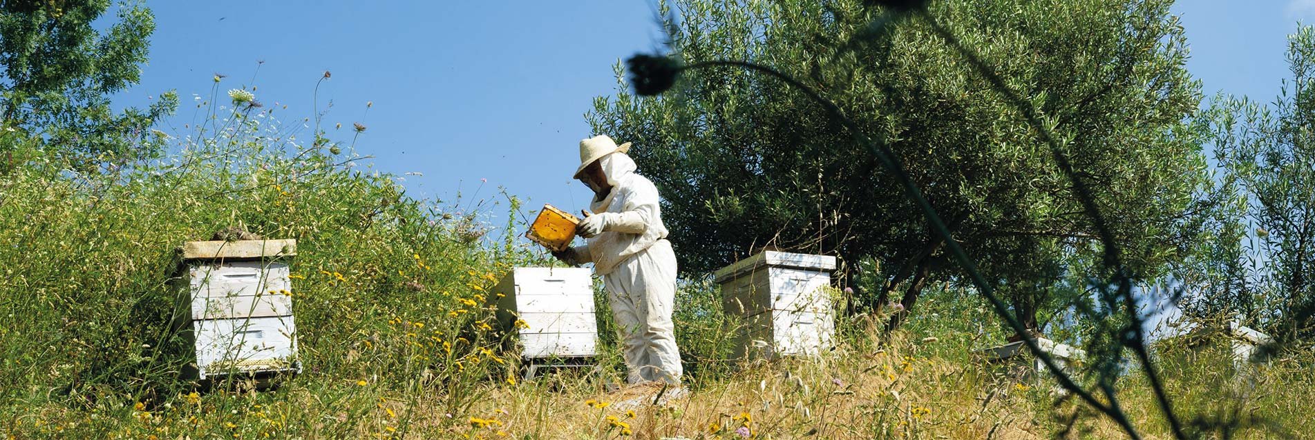 Quand les ressources naturelles boostent les ressources humaines