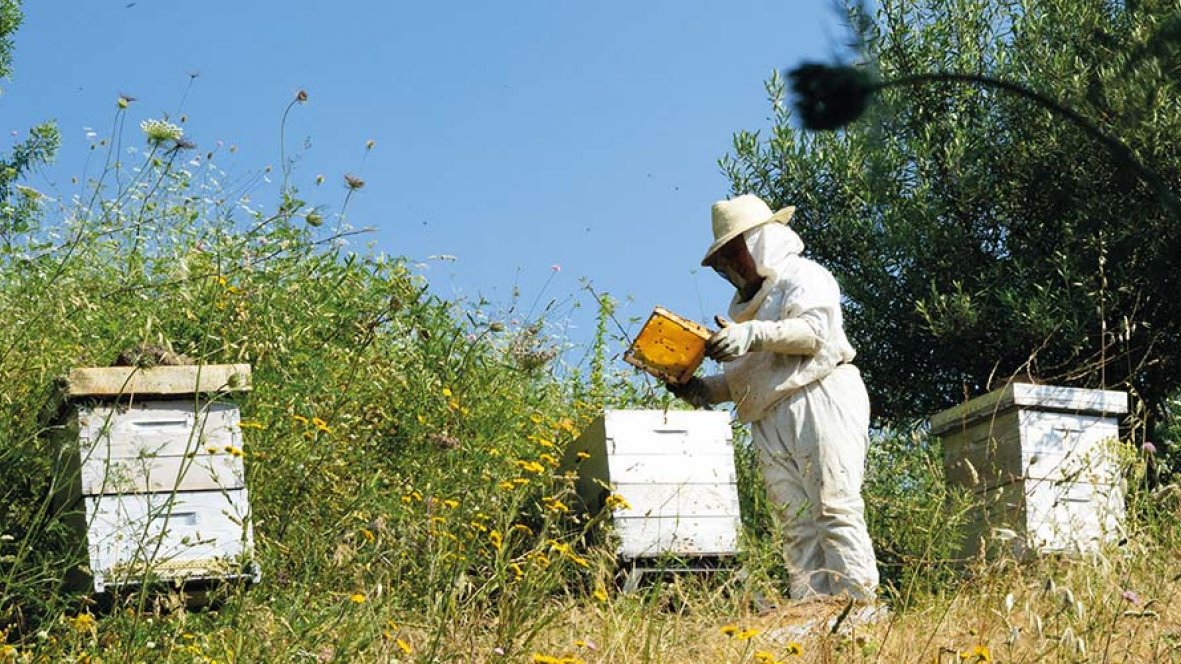 Quand les ressources naturelles 1