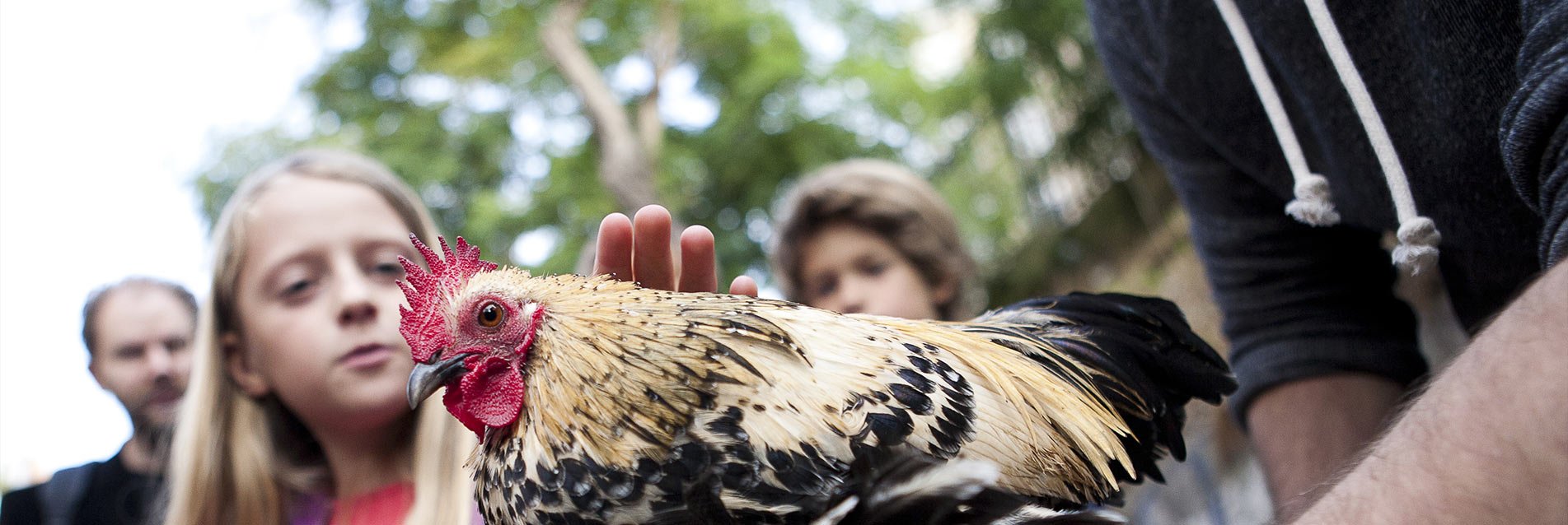 « Animaux – Animômes », des enfants à la rencontre des animaux