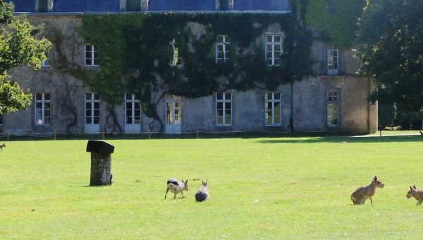 Branféré, un sanctuaire dédié au respect de la nature