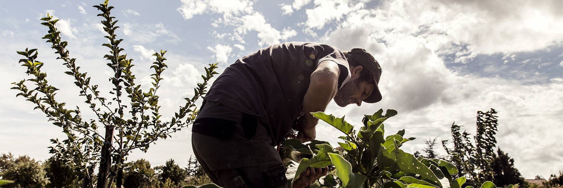 COP21 : comprendre et agir