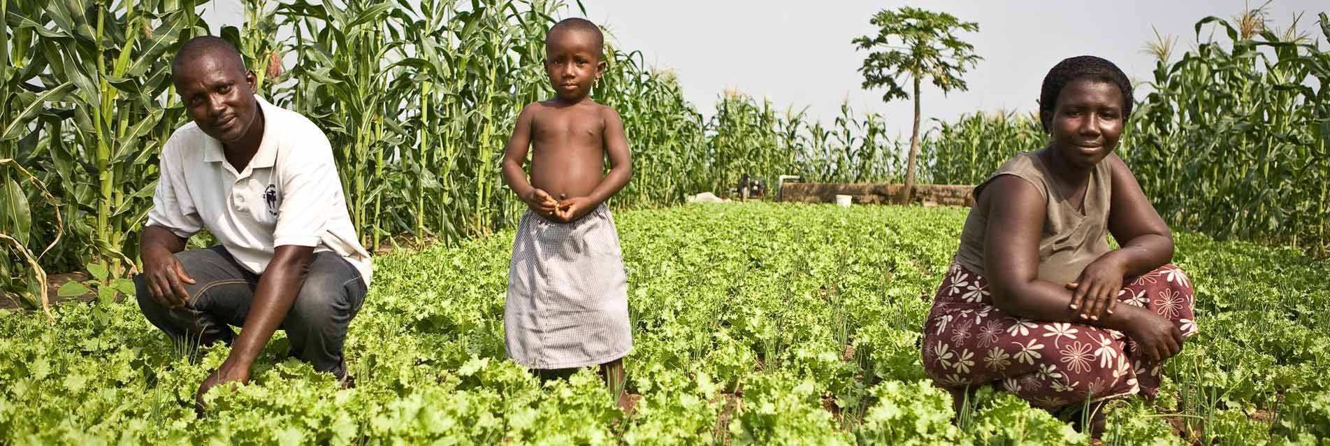Promotion de l’agriculture familiale en Afrique de l’Ouest : aller vers la consommation massive de produits locaux