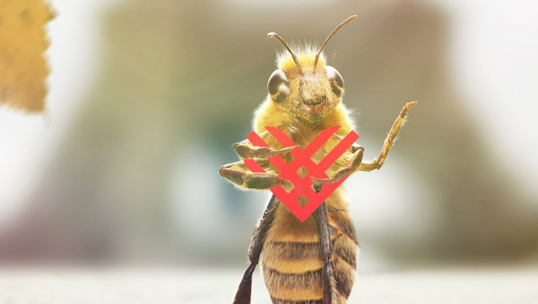 Le 3 décembre, à l'occasion du #GivingTuesdayFR, faites bzzzz avec @bee_nfluencer !