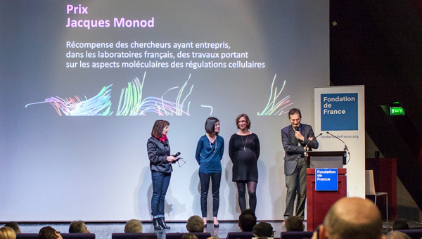 Fondation Jacques Monod