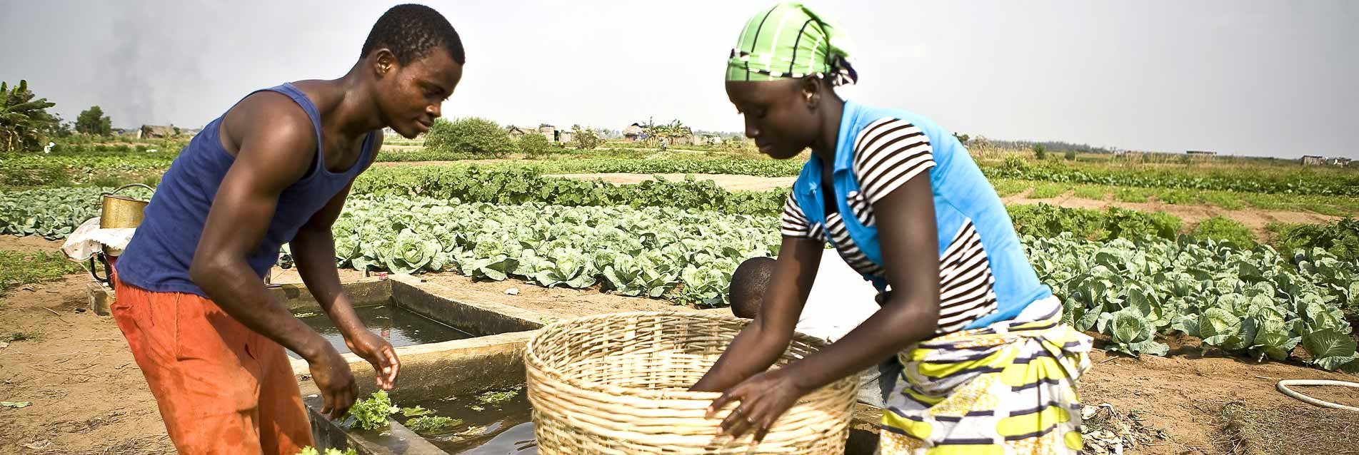 Fondation EG Afrique