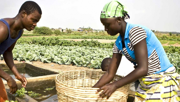 Fondation EG Afrique