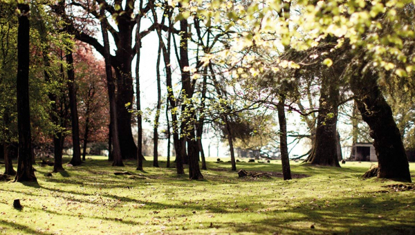 Fondation Nature & Découvertes