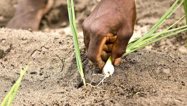 Fondation Lemarchand pour l’Équilibre entre les Hommes et la Terre