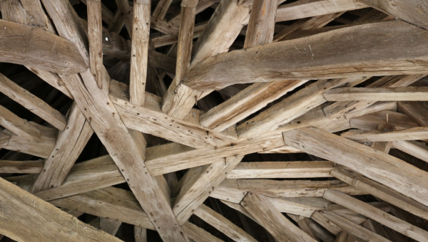 La Fondation France Bois Forêt pour notre patrimoine lance son appel à projets 2022