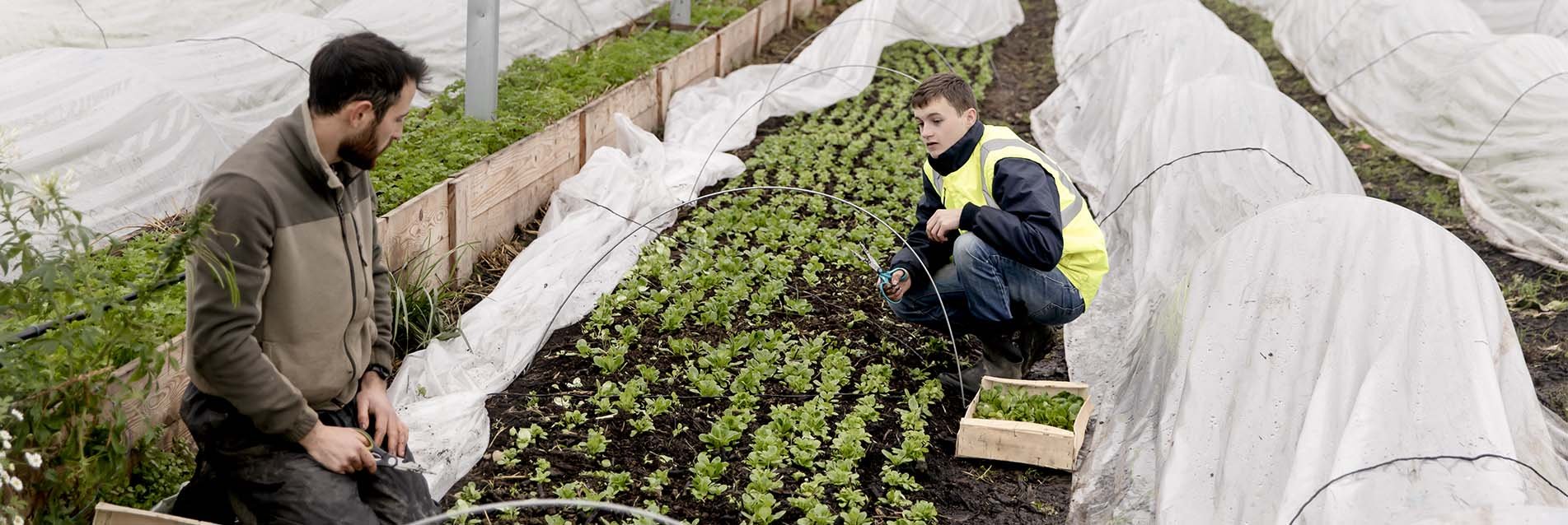 At the École des Semeurs, students cultivate ecology!