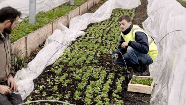 À l’Ecole des Semeurs, l’écologie : ça se cultive !