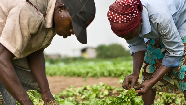 Sustainable food, in France and further afield 