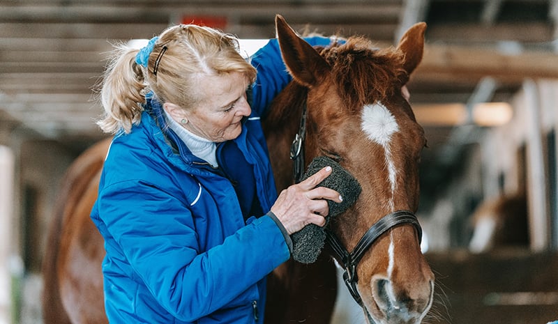 mediation animale femme cheval