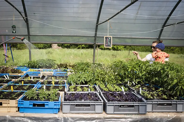 Dans une ferme maraîchère qui pratique l'agroécologie