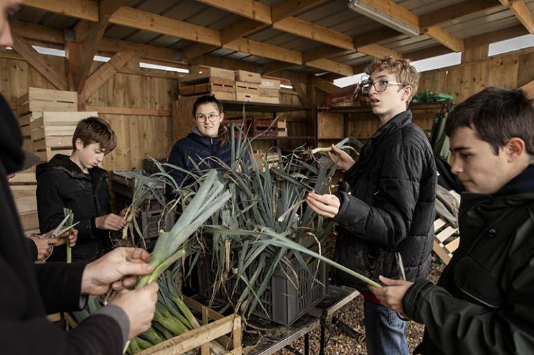 Des élèves et un de leurs instructeurs préparent des poireaux pour le marché du lendemain, à Beaumesnil, France, le mardi 16 novembre 2021.