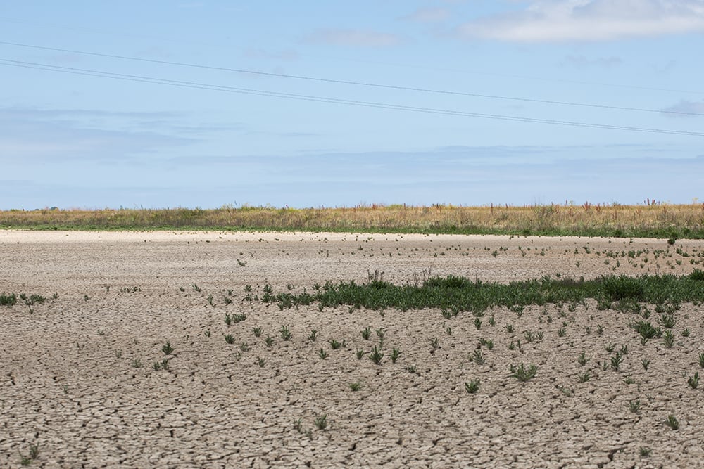 Journées littoral 2022 - 4