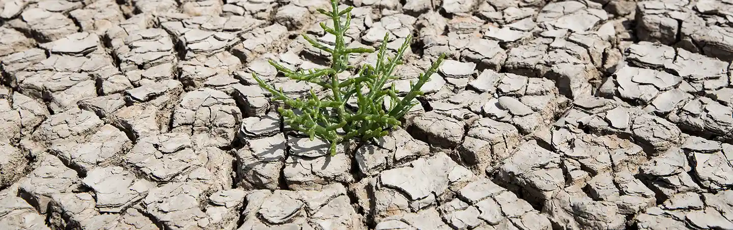 Quels atouts de la philanthropie face au dérèglement climatique ?