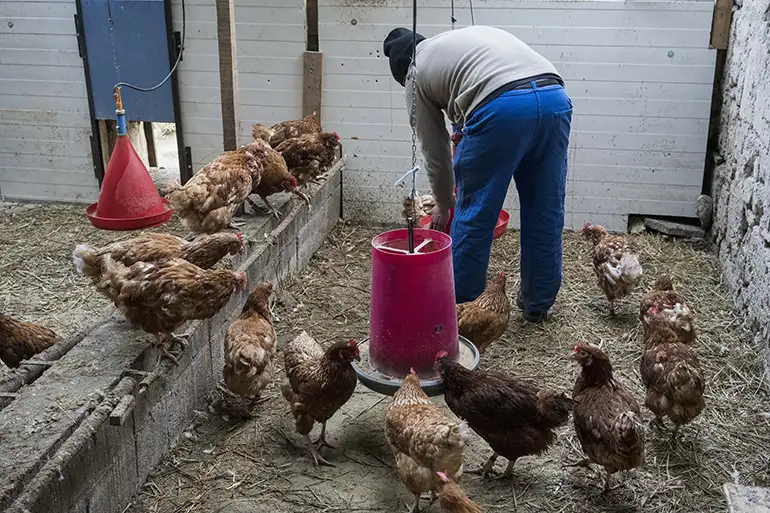 La ferme de Moyembrie