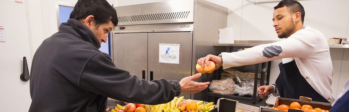 FONDATION BAUDOUX EN FAVEUR DE L'INSERTION PAR LE TRAVAIL