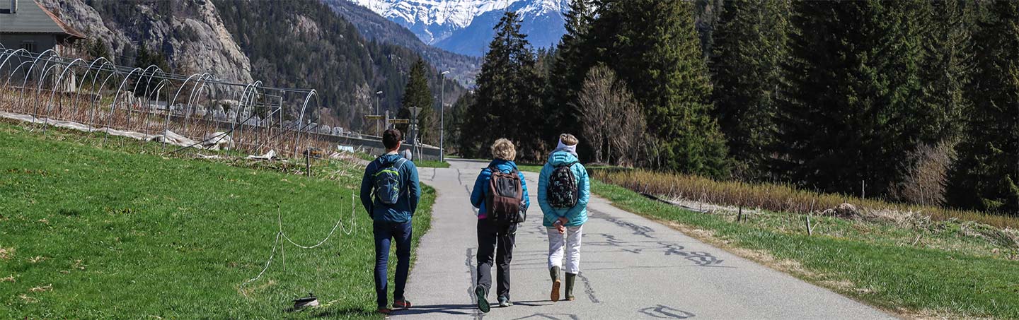 Journée mondiale de la biodiversité : focus sur les engagements du centre CREA Mont-Blanc, dans la vallée de Chamonix