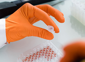 FONDS DU PROGRAMME D'AIDE A L'ACCUEIL EN URGENCE DES SCIENTIFIQUES EN EXIL