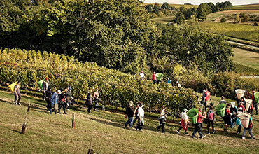 FONDATION TERROIRS, PAYSAGES CULTURELS