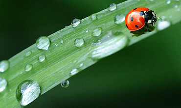 FONDATION UNE GOUTTE D'EAU POUR NOTRE PLANETE