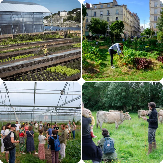 Photo article 3 questions à François Pastre