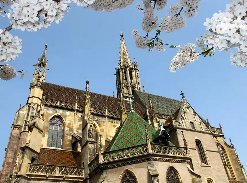 collegiale