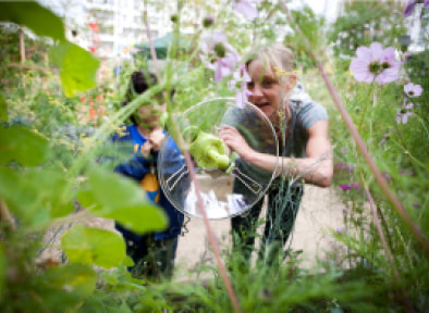 FONDATION GINKGO POUR L'ENVIRONNEMENT 