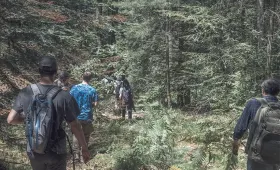 Forêts françaises : la philanthropie s’unit pour une gestion vertueuse