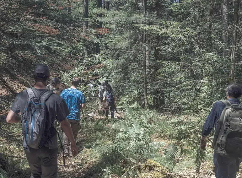 Forêts françaises : la philanthropie s’unit pour une gestion vertueuse